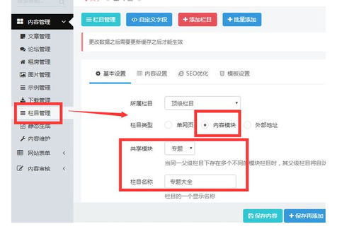 徐大大seo 獨立站如何進行cms系統升級